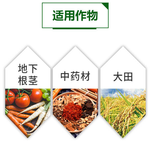 �����ЙC(j��)�|(zh��)�����-Û�M��-���~����_05