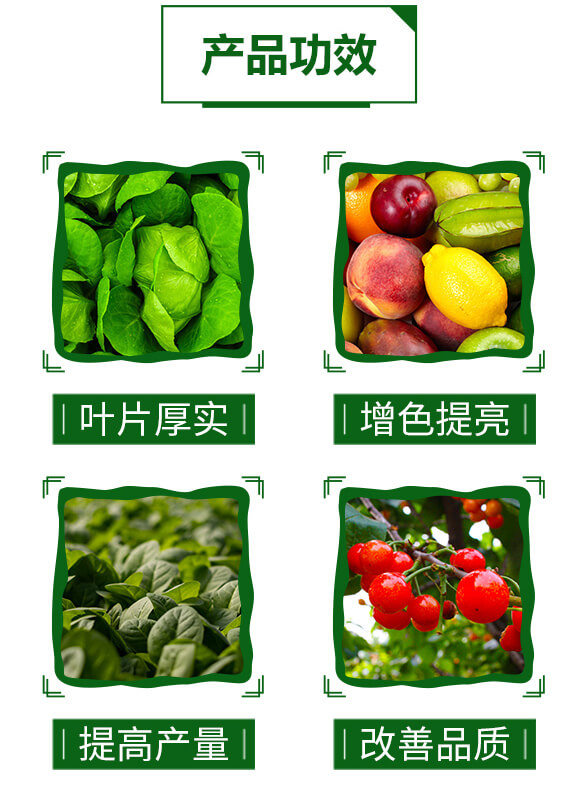 �����ЙC�|(zh��)�����-䁝M��-���~����_04