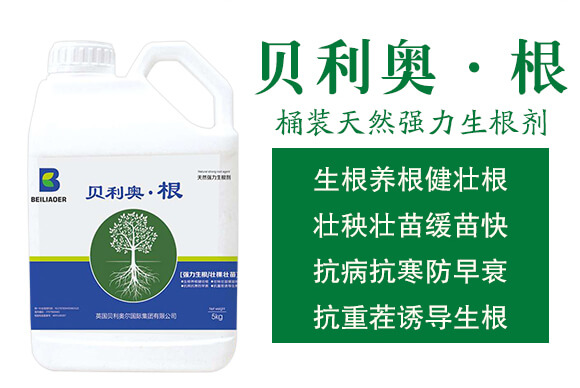 Ͱ�b��Ȼ����������-ؐ���W����-�����S_02