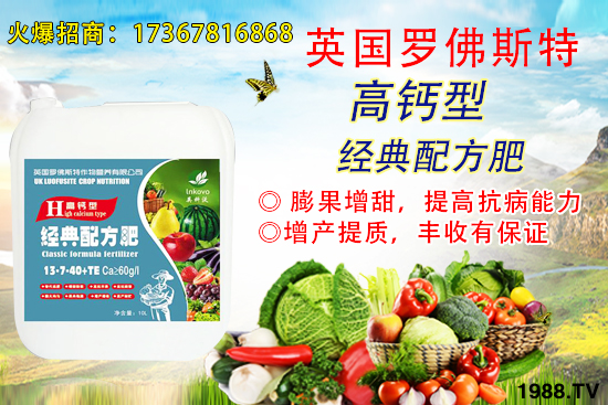 ���׹���