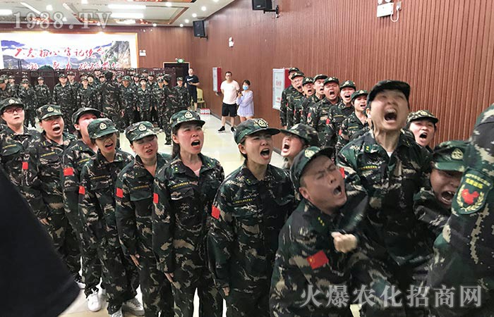 �l(f��)�P�t��������  �T���FѪ܊��