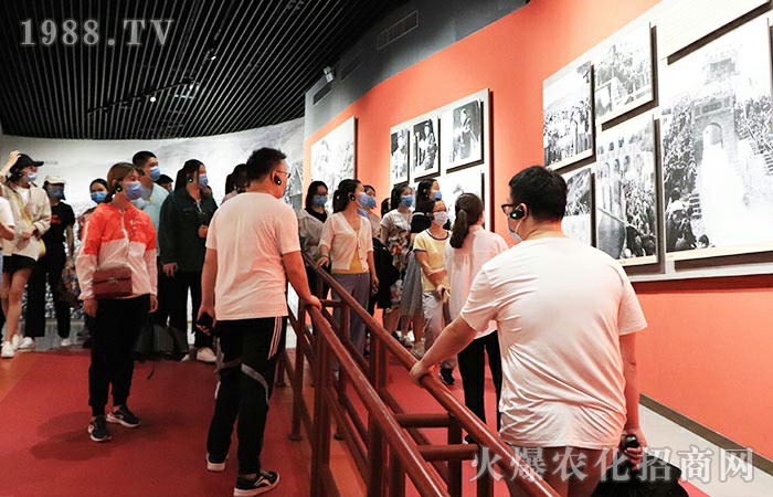 ����һ�F����ɢ�ǝM����