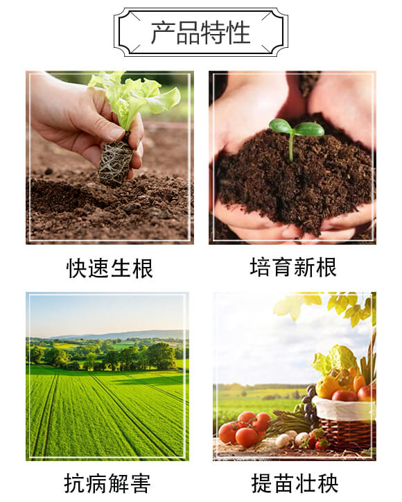 Ͱ�b��Ȼ����������-ؐ���W����-�����S_03