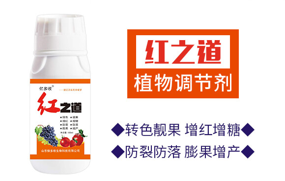 �t֮��-�|����-������_02