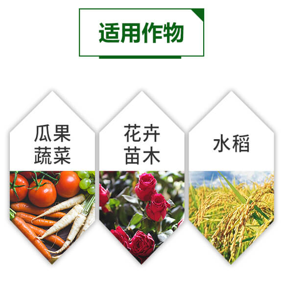 �����ЙC�|(zh��)�����-䁝M��-���~����_05