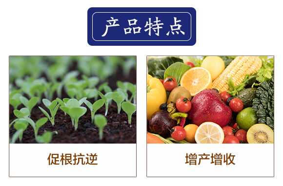 �~(y��)����-������-��(��i)���r(n��ng)_03