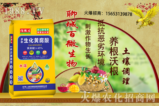 ������ʲô�r��׷�ʣ���ʲô����������׷����ʲôע�������