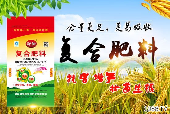 Ѫ������Щ�I(y��ng)�B(y��ng)�r(ji��)ֵ����Ѫ����ʲô��̎��