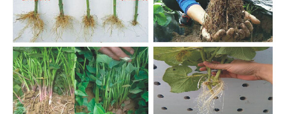 �r��ڈ@���＼�g���޹�˾2_13