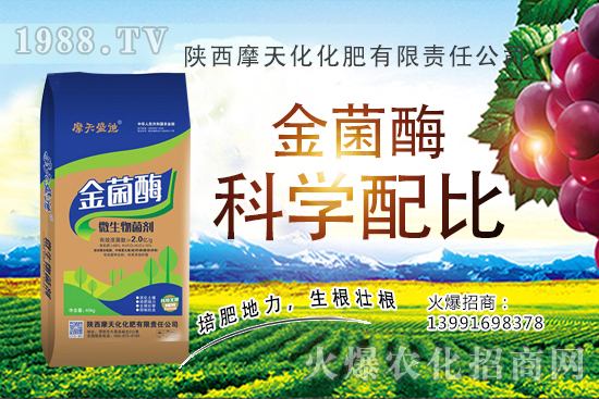 �Nһ���O���ĳɱ��Ƕ������ж����������O���Nֲ���g�c������