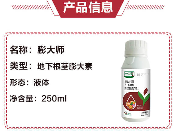 ���¸��o�����-���-����g��-�������r_04