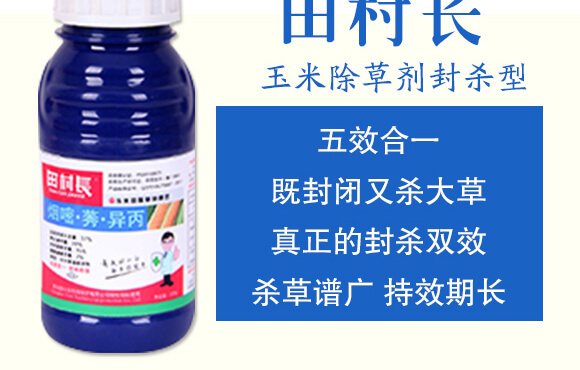 ���׳��݄��⚢�͡�����L_04