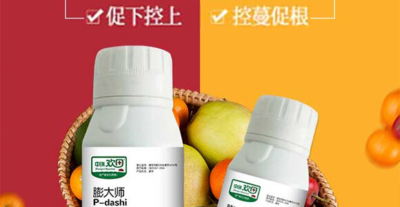 ���¸��o�����-���-����g��-�������r_02