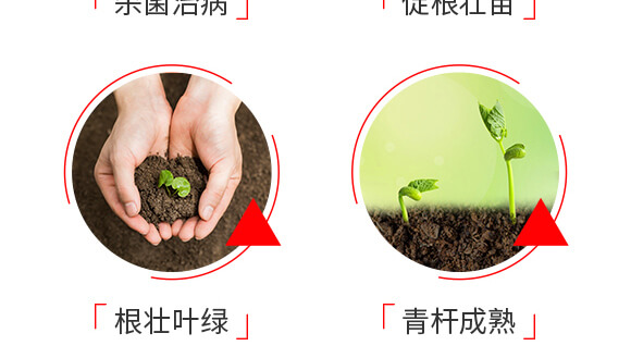 ���b�������a(ch��n)���g(sh��)�ײ�-�����S-����_06