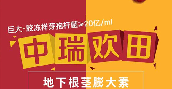 ���¸��o�����-���-����g��-�������r_01