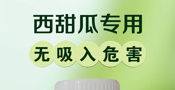 ����ό���-һ��һƬ_01