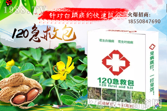 �ȹ����緽������Щ���ȹ���ô���Զ�ֲ��