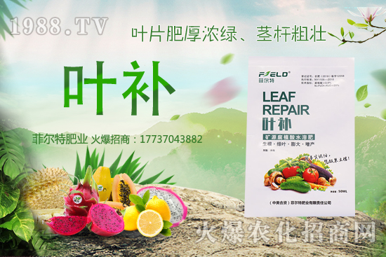 �o�����Nֲǰ����ô�ӣ��o�����Nֲ�r(sh��)�g�ͷ�����