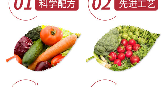 ���¸��o�����-���-����g��-�������r_06