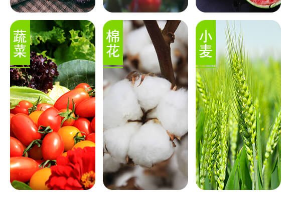 青島佐邦生物科技有限公司產(chǎn)品詳情頁(yè)2_05