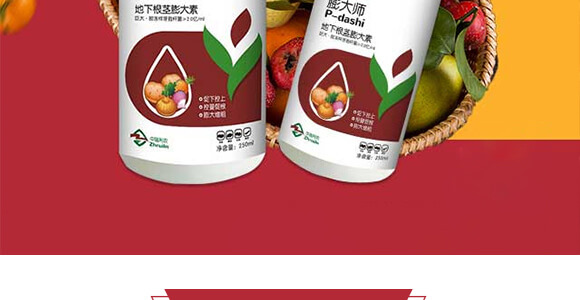 ���¸��o�����-���-����g��-�������r_03