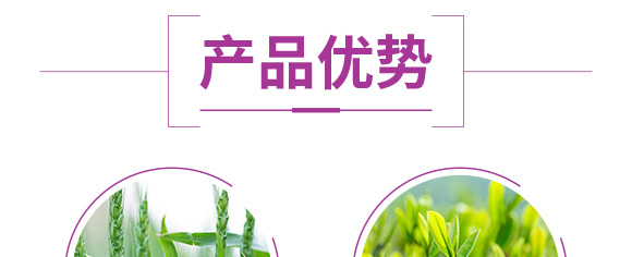 硫酸鉀型復合肥料25-14-6-鄂陽_06