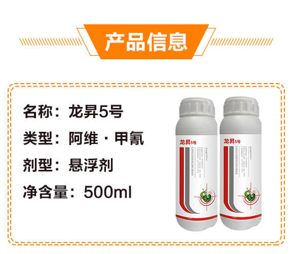 10%���S������-���N5̖(h��o)-���N����_03