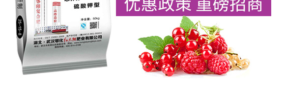 硫酸鉀型復合肥料25-14-6-鄂陽_05