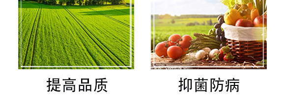 �׷����־���-�۟o(w��)ۙ-�T�_(d��)_08