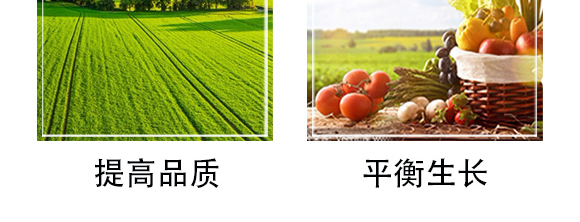 �׷����־���-�۟o(w��)ۙ-�T�_(d��)_08