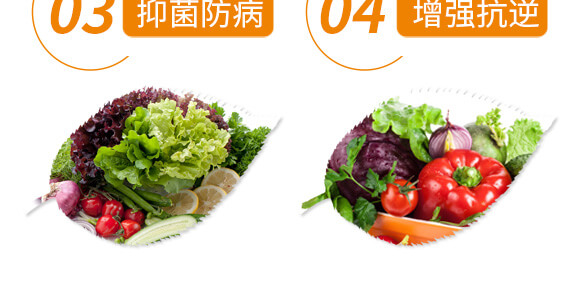 ���ʡ��˄�(d��ng)��-��ֲ(li��n)��_07