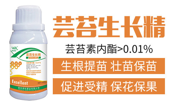 �|̦���L(zh��ng)��-���ƷʘI(y��)_02