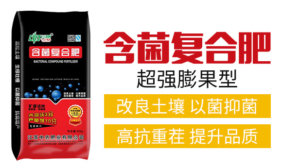 �����ͺϷ�-���r(n��ng)�ʘI(y��)_02