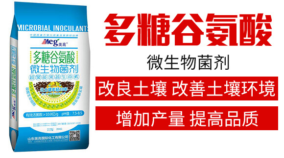 ���ǹȰ���΢�������-����_02