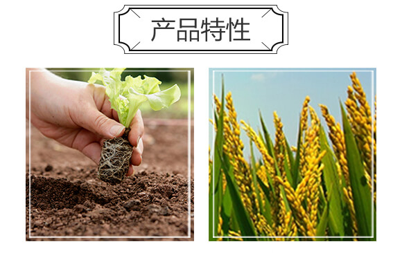 �����ЙC(j��)�ʣ��G��-�S�r(n��ng)_04