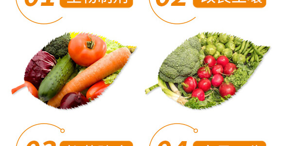 �׷ʽ�����-��ֲ(li��n)��_06