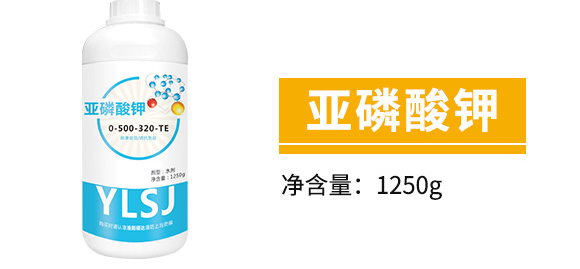 �׷����־���-�۟o(w��)ۙ-�T�_(d��)_05