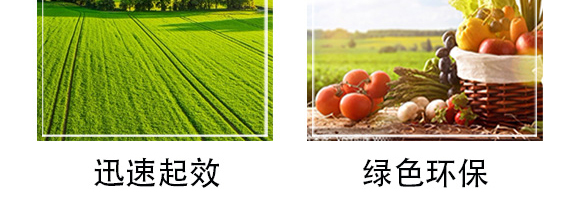 �׷����־���-�۟oۙ-�T�__08