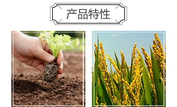 �����ЙC��-�S�r(n��ng)_04