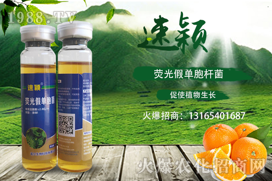 ���ٝ�����Σ��һ���һ����أ����ٝ�������η��أ�