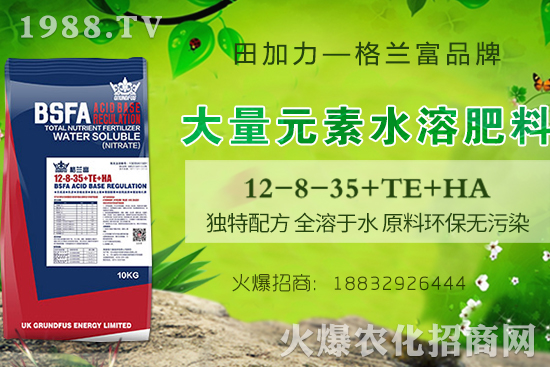 ���׳��粻�R