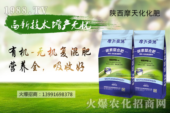 ���؃r���Нq�е����Ј���Ͷ�Շ��D(zhu��n)�������ո��؅^(q��)���؃r�����飡