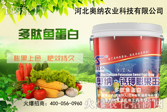 ���ӱ��W�{����Ʒ��(l��i)�u��������������o����ע��I(y��ng)�B(y��ng)�·�����