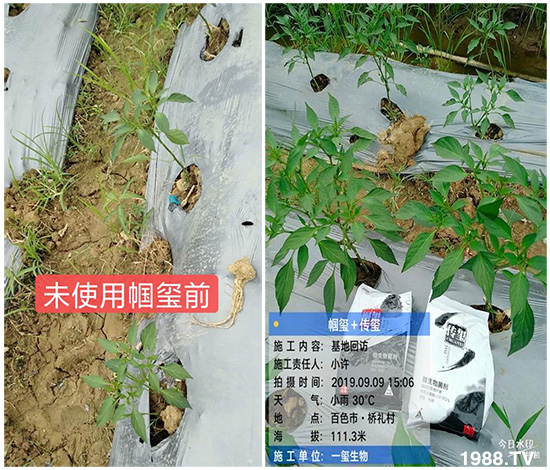 �îa(ch��n)Ʒ����������һ�t���΢������������t���͑��挍(sh��)������