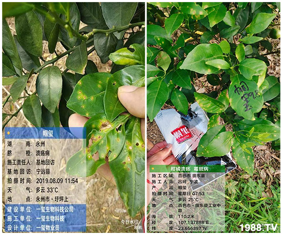 �îa(ch��n)Ʒ����������һ�t���΢������������t���͑��挍(sh��)������