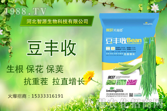 ���ˡ����S�ա���������ֱ���L�a���ߣ����S����ʲô��(y��u)����