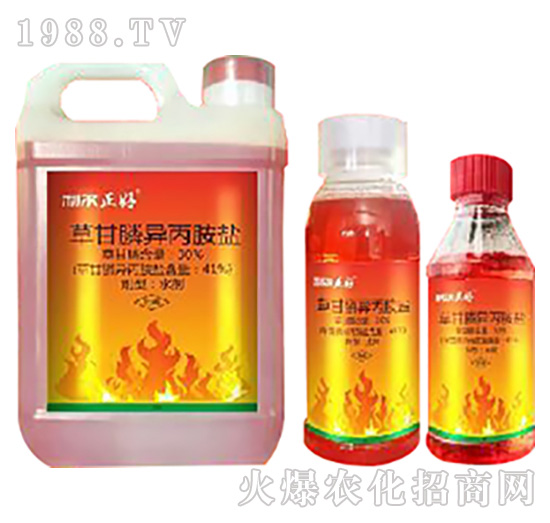 �s���y���������͏����ò����@�׿���ݮaƷ���_�����^��