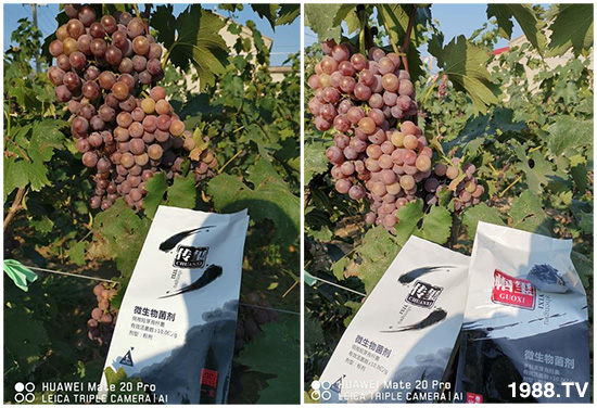 �îa(ch��n)Ʒ����������һ�t���΢������������t���͑��挍(sh��)������