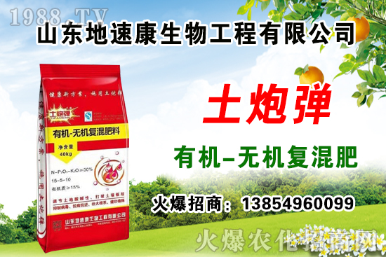 ���ײ���