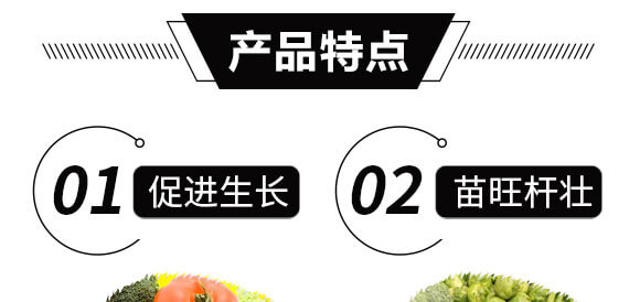 �������⛣�10ǧ�ˣ�-����Z_04